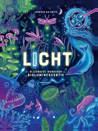 Afbeelding van Licht