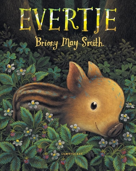 Afbeelding van Evertje