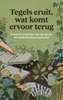 Afbeelding van Tegels eruit, wat komt ervoor terug