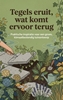 Afbeelding van Tegels eruit, wat komt ervoor terug