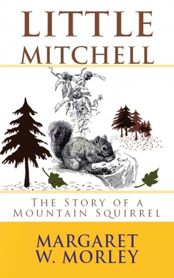 Afbeelding van Little Mitchell