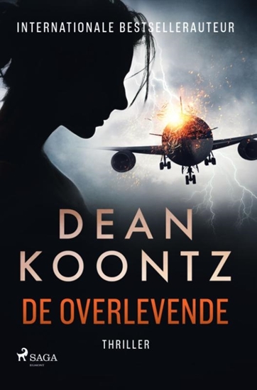 Afbeelding van De overlevende