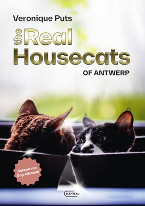 Afbeeldingen van The Real Housecats of Antwerp