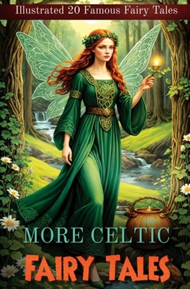 Afbeeldingen van More Celtic Fairy Tales