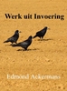 Afbeelding van Werk uit invoering