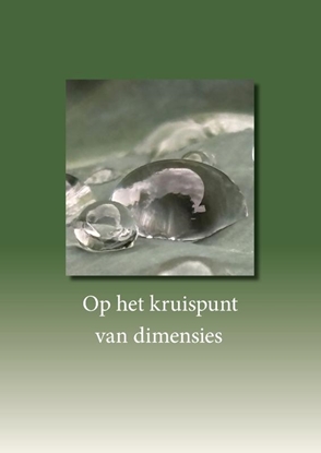 Afbeeldingen van Op het kruispunt van dimensies