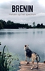 Afbeelding van Brenin