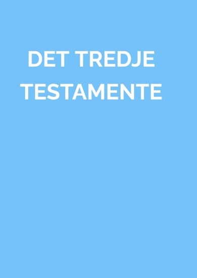 Afbeelding van DET TREDJE TESTAMENTE