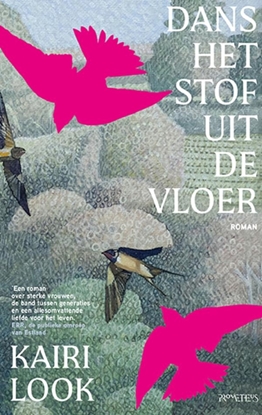 Afbeeldingen van Dans het stof uit de vloer