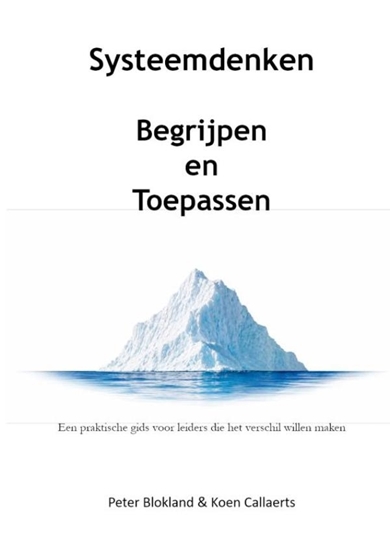 Afbeelding van Systeemdenken Begrijpen en Toepassen
