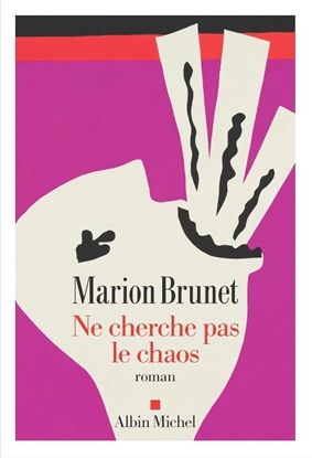 Afbeeldingen van Ne cherche pas le chaos