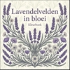 Afbeelding van Lavendelvelden in bloei