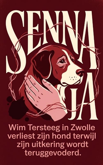 Afbeelding van Senna