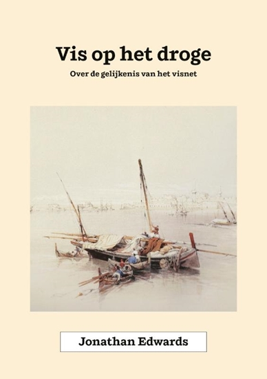 Afbeelding van Vis op het droge