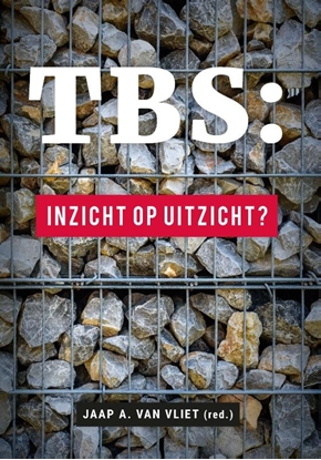 Afbeeldingen van TBS : inzicht op uitzicht?