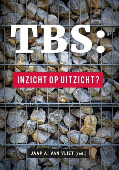 Afbeelding van TBS : inzicht op uitzicht?
