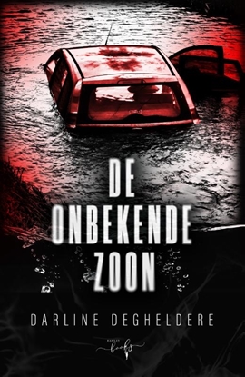 Afbeeldingen van De onbekende zoon