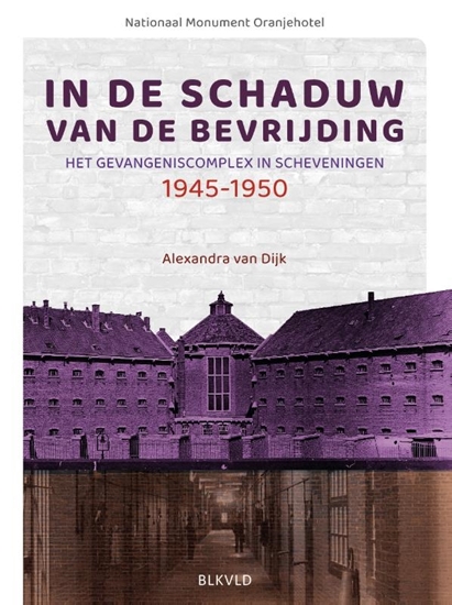 Afbeelding van In de Schaduw van de Bevrijding