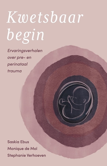 Afbeelding van Kwetsbaar begin