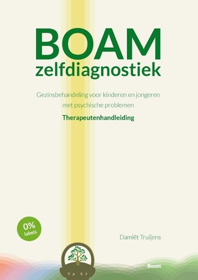 Afbeelding van BOAM-zelfdiagnostiek