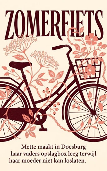 Afbeelding van Zomerfiets