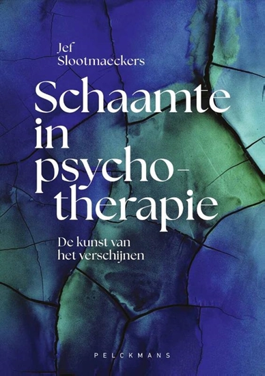Afbeelding van Schaamte in psychotherapie