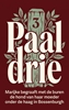 Afbeelding van Paal drie