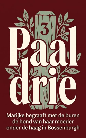 Afbeelding van Paal drie