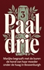 Afbeelding van Paal drie