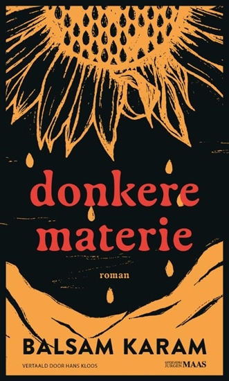 Afbeelding van donkere materie