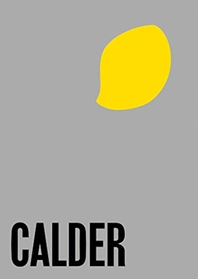 Afbeelding van Alexander Calder: From the Stony River to the Sky