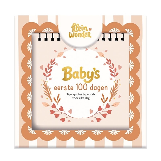 Afbeelding van Baby's eerste 100 dagen