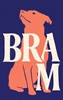 Afbeelding van Bram