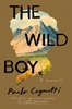Afbeelding van The Wild Boy