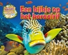 Afbeelding van Habitats ver weg Een kijkje op het koraalrif