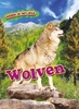 Afbeelding van Dieren in het wild Wolven