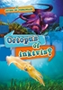 Afbeelding van Ontdek de verschillen Octopus of inktvis?