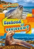 Afbeelding van Ontdek de verschillen Zeehond of zeeleeuw?