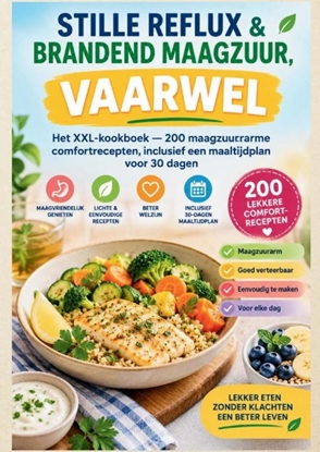 Afbeeldingen van STILLE REFLUX & BRANDEND MAAGZUUR, VAARWEL