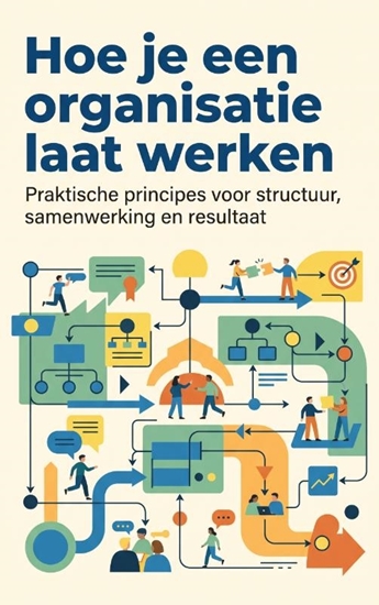 Afbeelding van Hoe je een organisatie laat werken