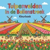Afbeelding van Tulpenvelden in de Bollenstreek
