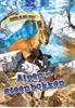 Afbeelding van Dieren in het wild Alpen Steenbokken