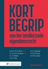 Afbeelding van Kort begrip van het intellectuele eigendomsrecht