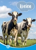 Afbeelding van Mini Informatie Koeien