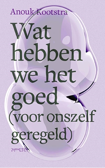 Afbeelding van Wat hebben we het goed (voor onszelf geregeld)