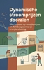 Afbeelding van Dynamische stroomprijzen doorzien