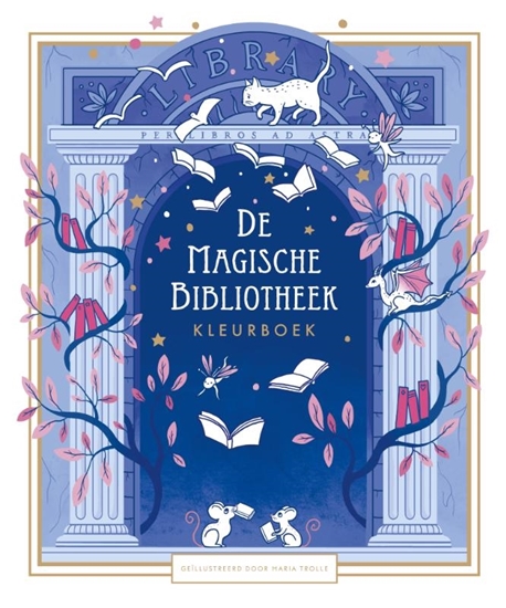Afbeelding van De magische bibliotheek