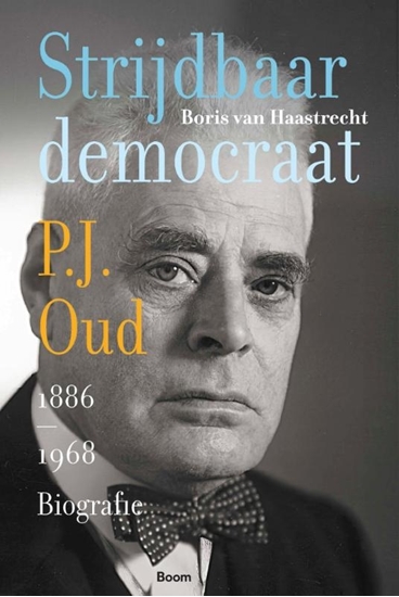 Afbeelding van Strijdbaar democraat