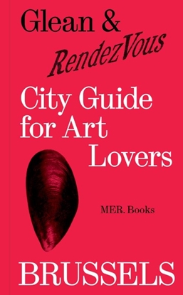 Afbeeldingen van Brussels City Guide for Art Lovers