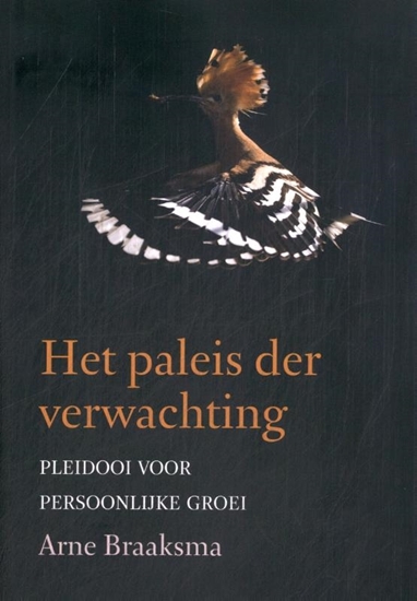 Afbeelding van Het paleis der verwachting